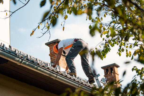 Best New Roof Installation  in Warren, IL