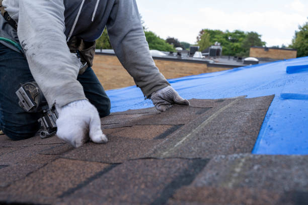 Residential Roof Replacement in Warren, IL