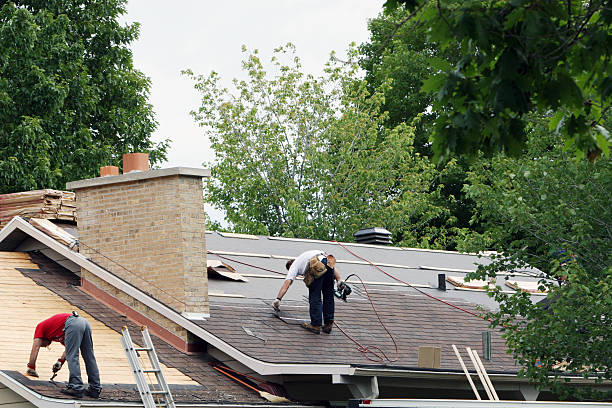 Best Residential Roofing Contractor  in Warren, IL