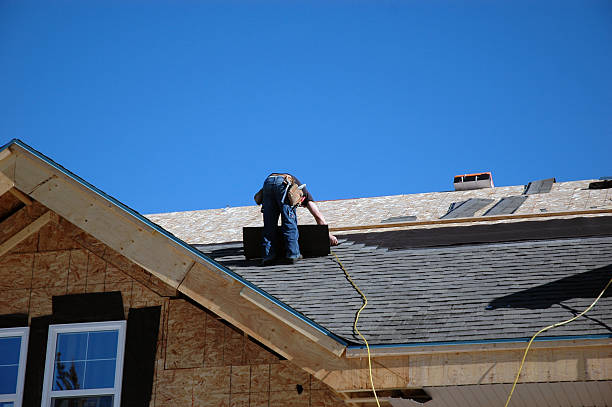 Best Commercial Roofing Services  in Warren, IL
