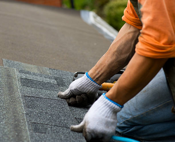 Best Roof Leak Repair  in Warren, IL
