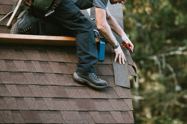 Best Flat Roof Repair Services  in Warren, IL
